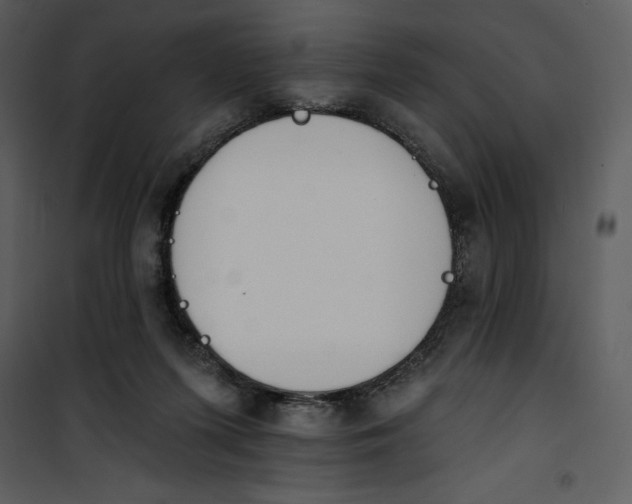 X0000101230215200807181610