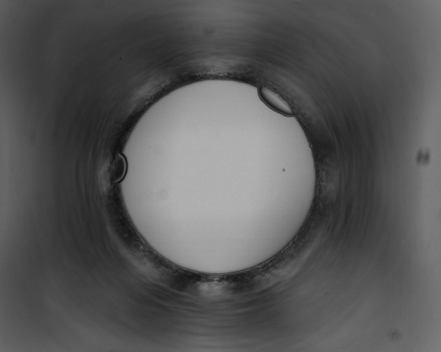 X0000101230216200807181610