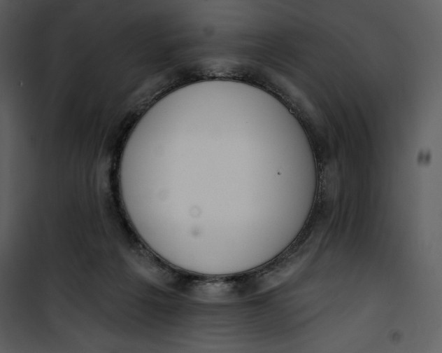 X0000101230217200807181610