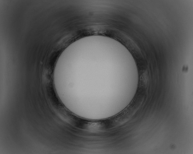 X0000101230218200807181610