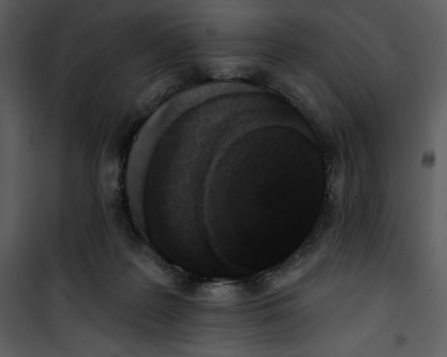 X0000101230219200807181610