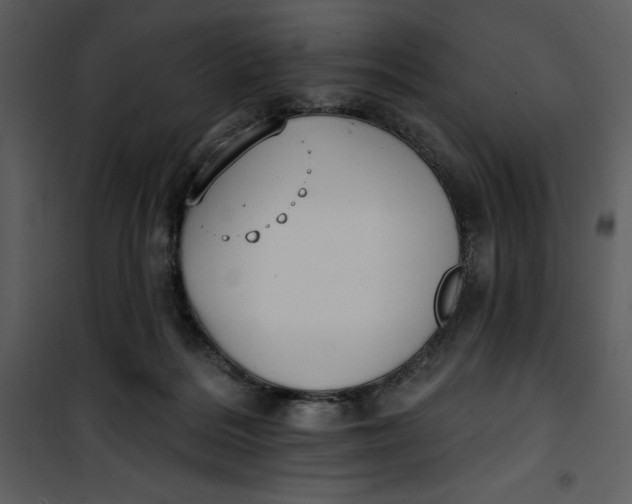 X0000101230220200807181610