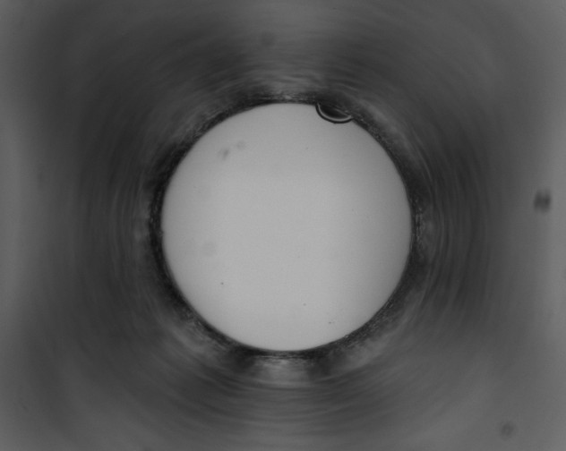 X0000101230221200807181610