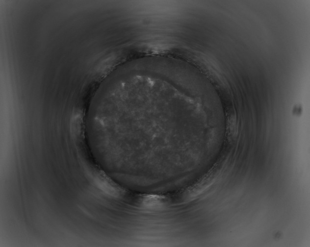 X0000101230222200807181610