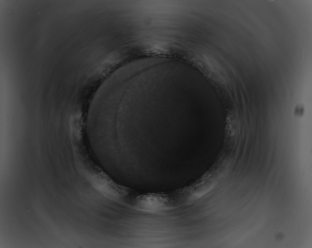 X0000101230223200807181610