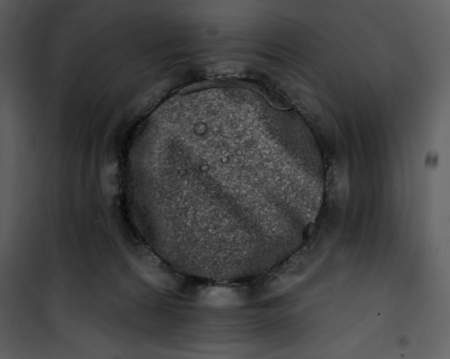 X0000101230224200807181610