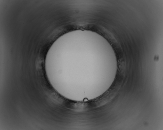 X0000101230225200807181610