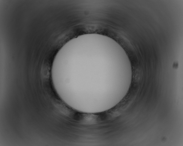 X0000101230226200807181610