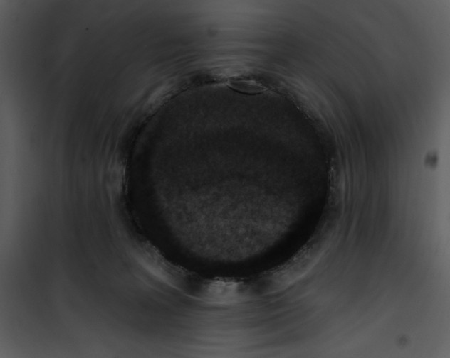 X0000101230227200807181610