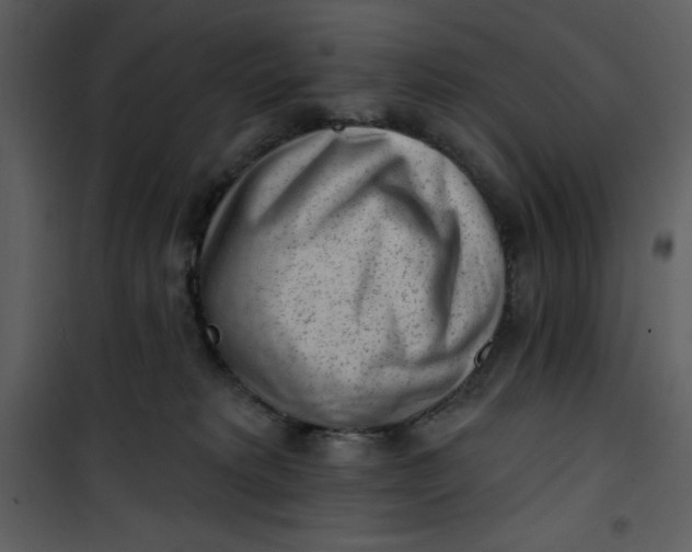 X0000101230229200807181610