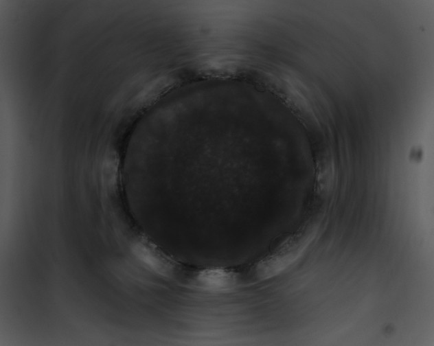 X0000101230231200807181610