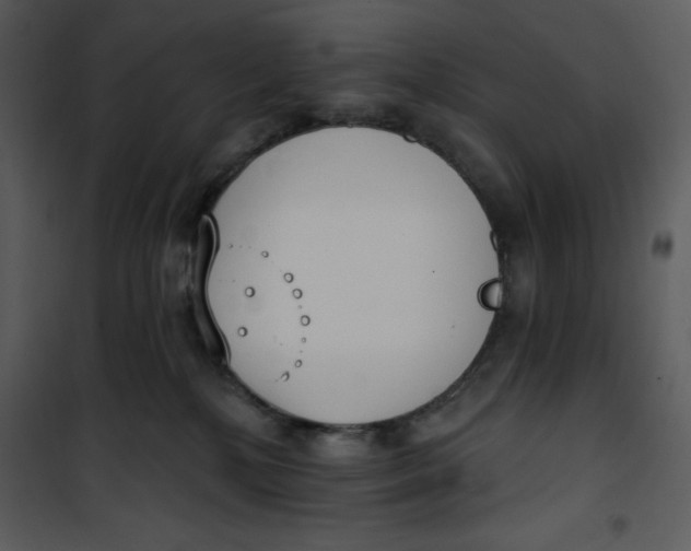 X0000101230232200807181610