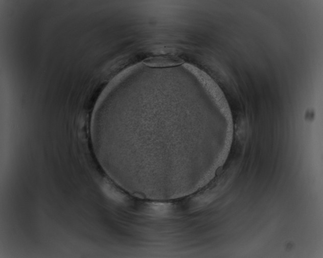 X0000101230233200807181610