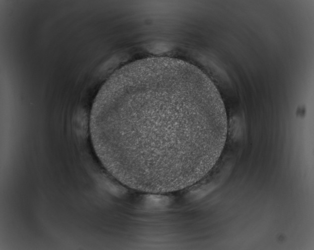 X0000101230234200807181610