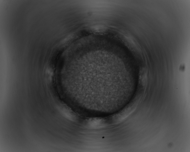 X0000101230235200807181610