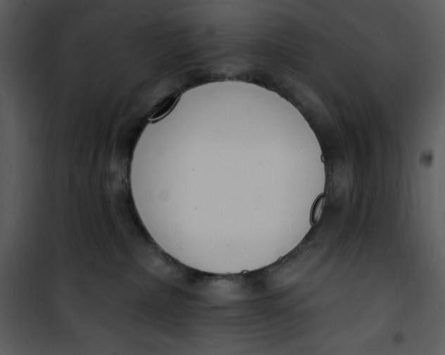 X0000101230236200807181610