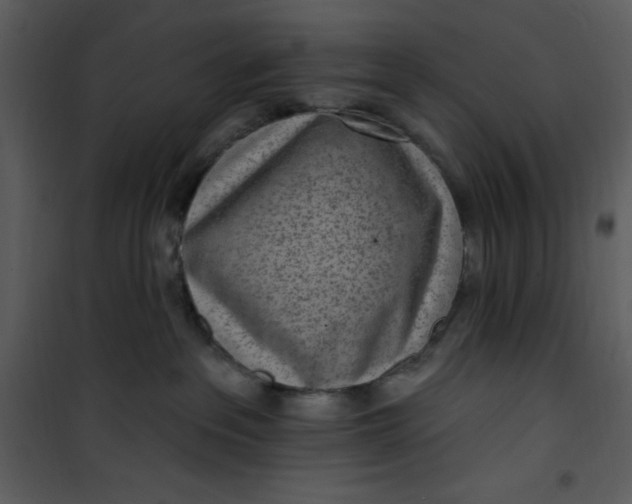 X0000101230237200807181610