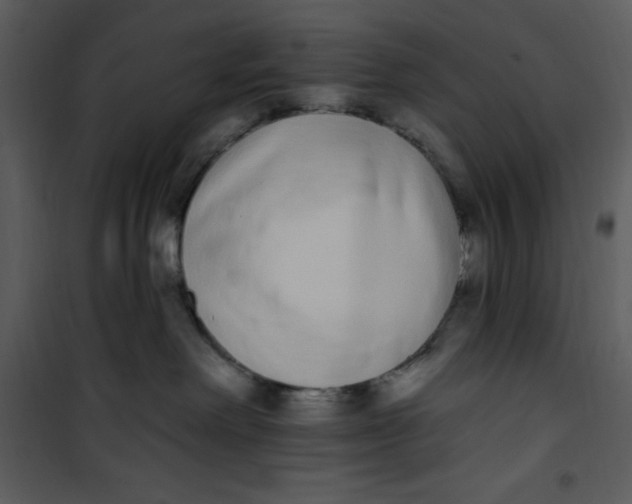 X0000101230238200807181610