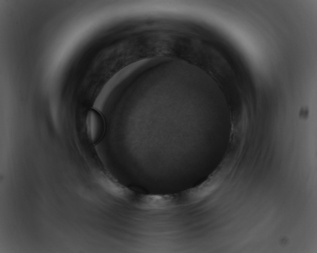 X0000101230239200807181610