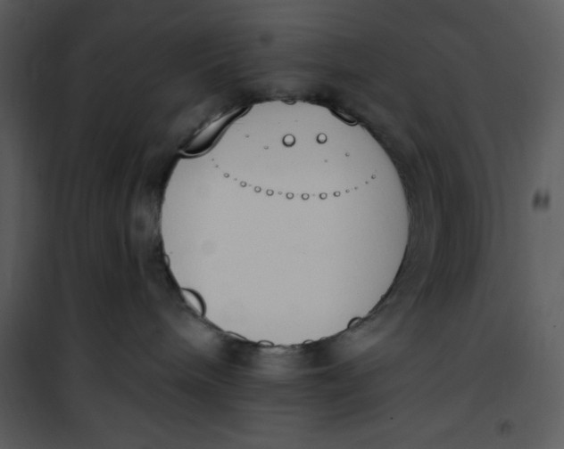 X0000101230240200807181610