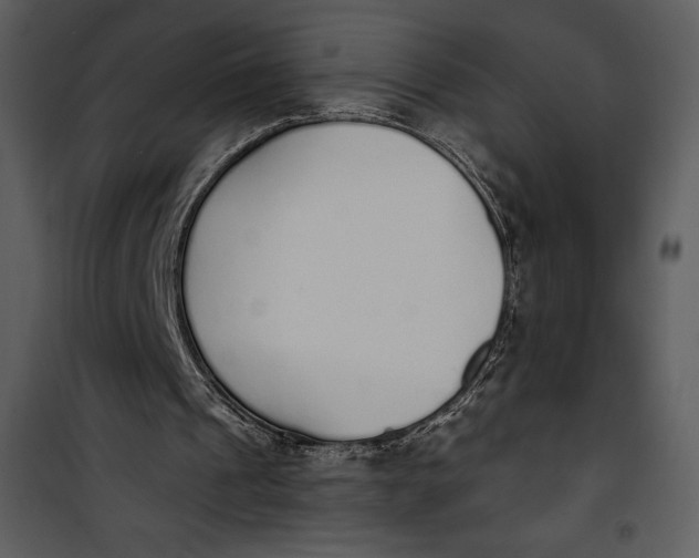 X0000101230241200807181609