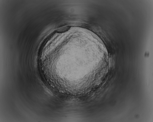 X0000101230243200807181609