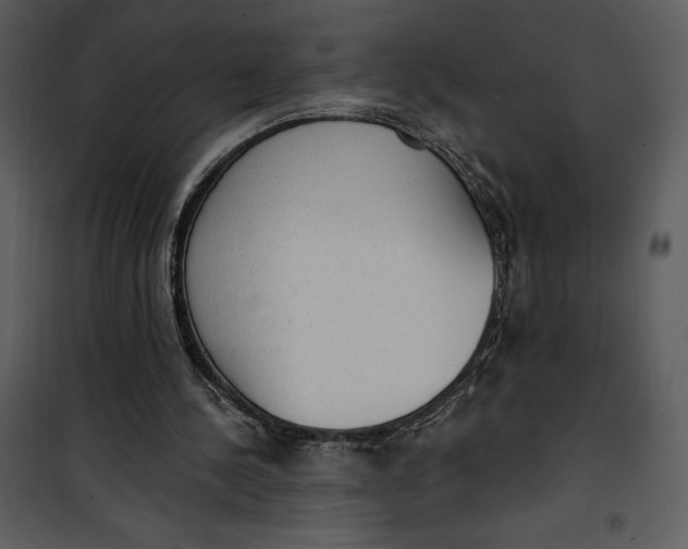 X0000101230244200807181609