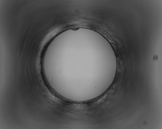 X0000101230245200807181609