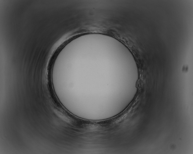 X0000101230246200807181609