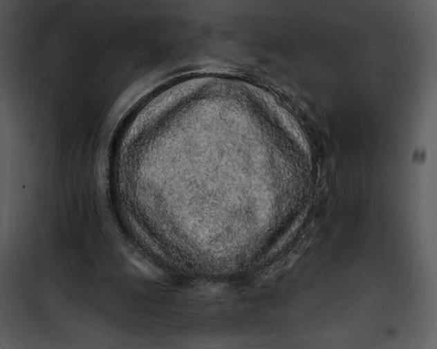 X0000101230247200807181609