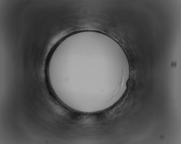 X0000101230248200807181609