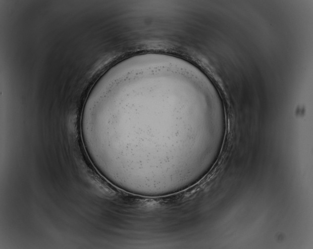 X0000101230249200807181609