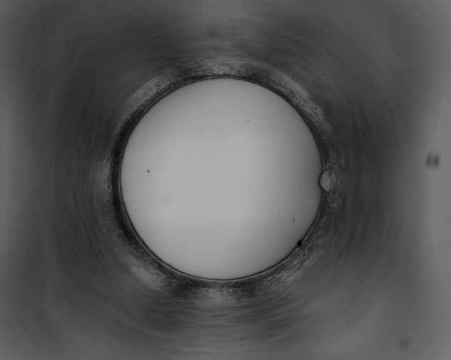 X0000101230250200807181609