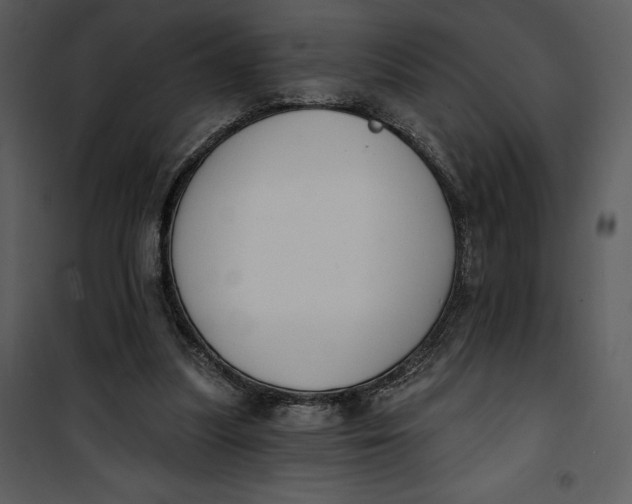 X0000101230251200807181609