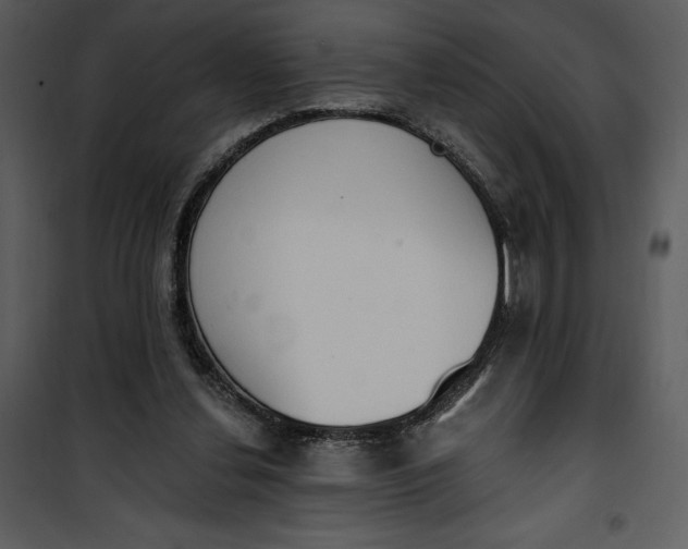 X0000101230252200807181609