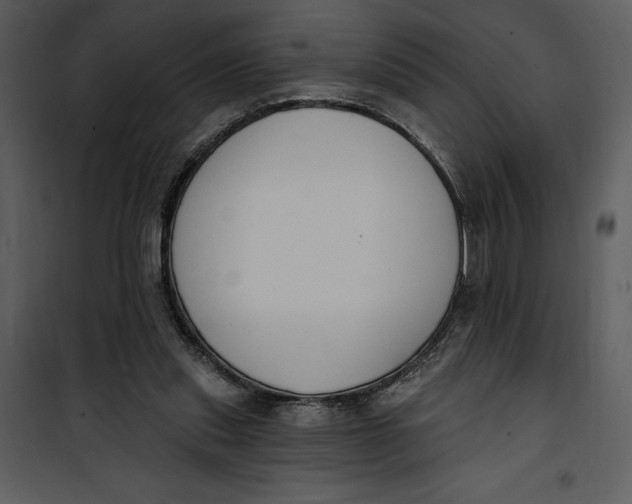 X0000101230253200807181609