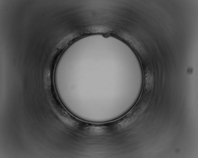 X0000101230254200807181609