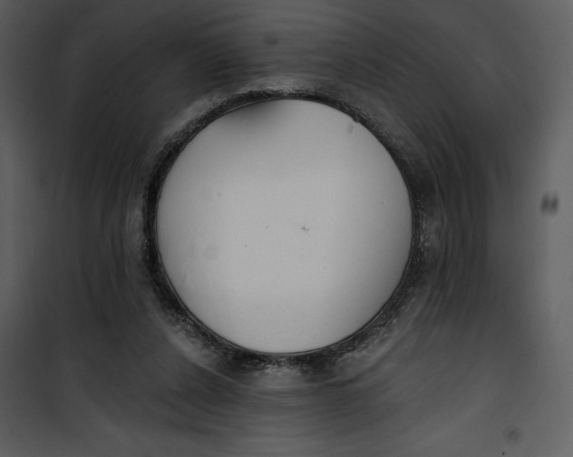 X0000101230256200807181609