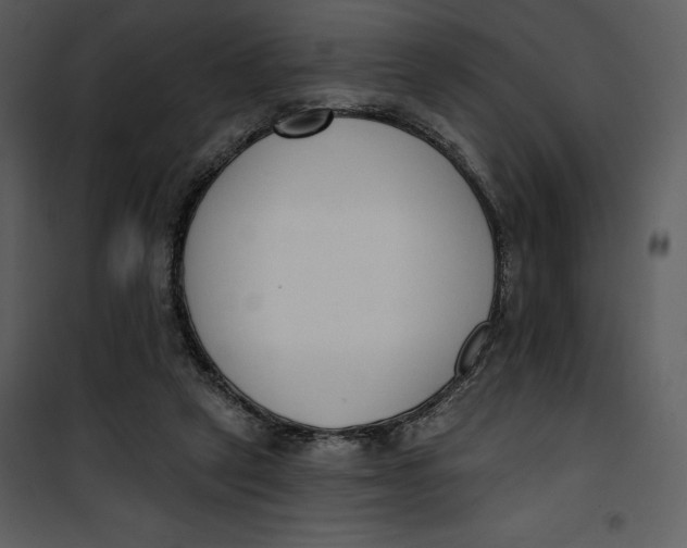 X0000101230257200807181609