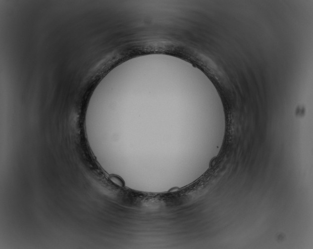 X0000101230258200807181609