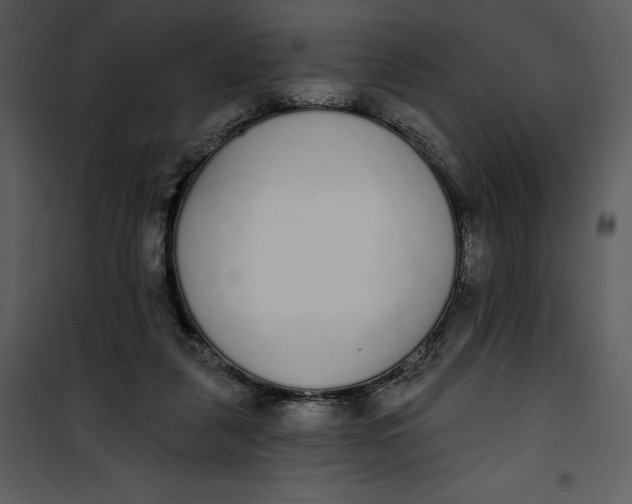 X0000101230259200807181609