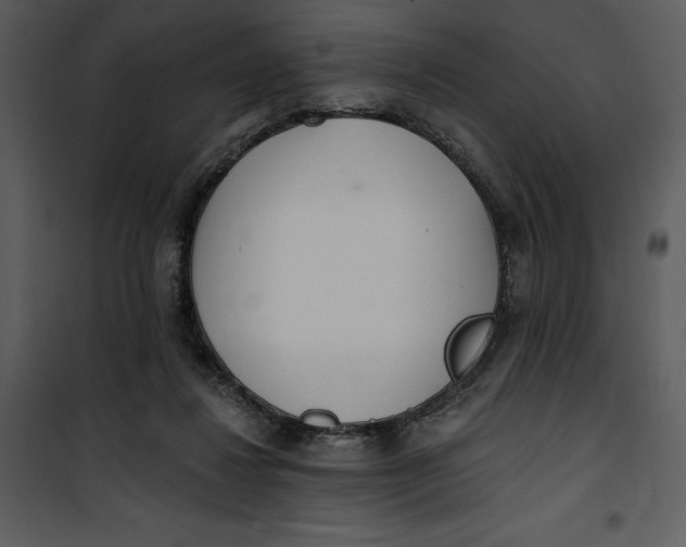 X0000101230260200807181609