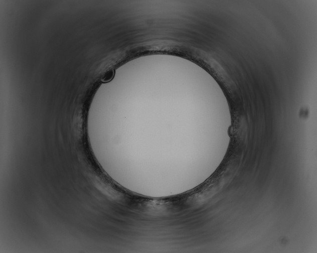 X0000101230261200807181609