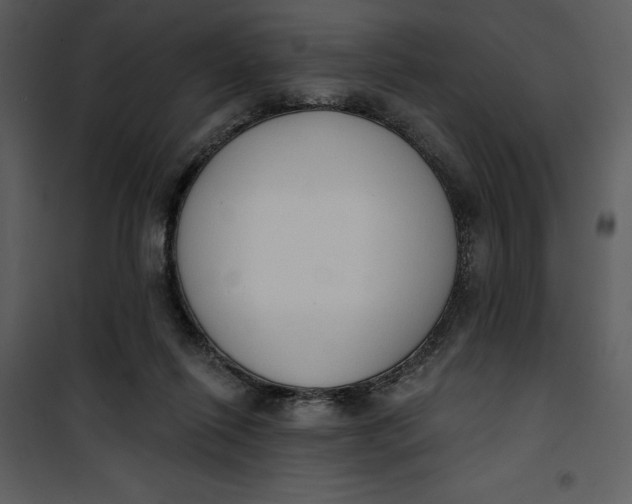 X0000101230262200807181609