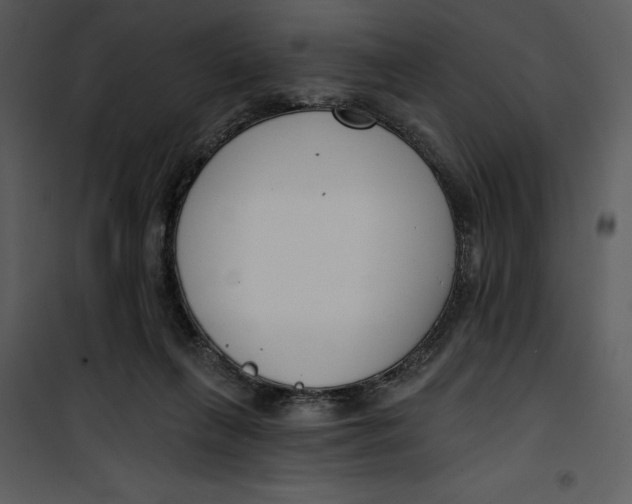 X0000101230263200807181609