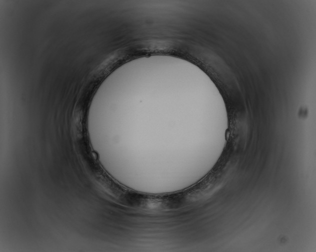 X0000101230264200807181609