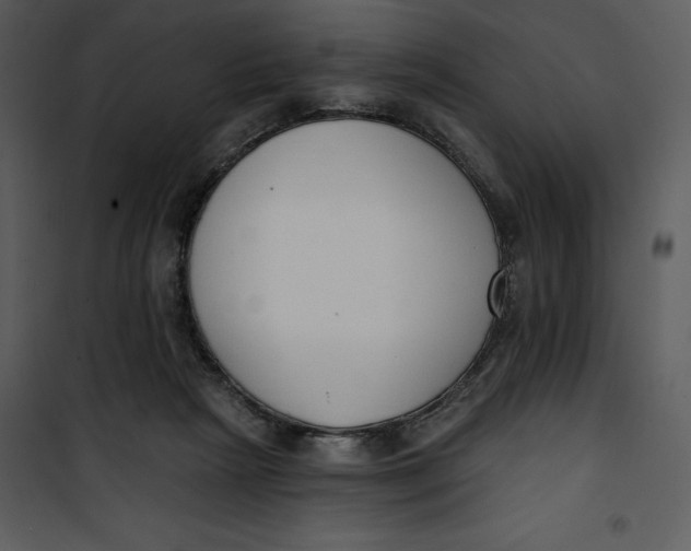 X0000101230265200807181609