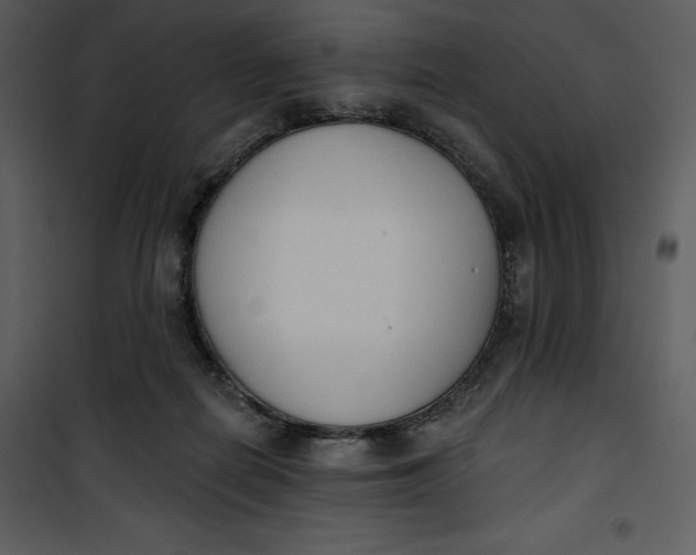 X0000101230266200807181609