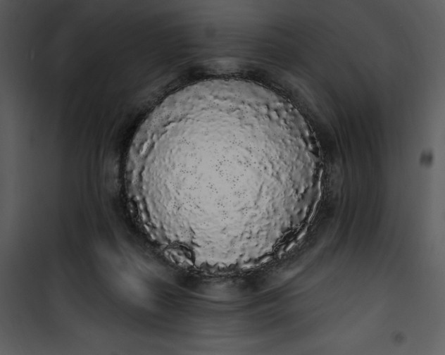 X0000101230267200807181609