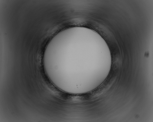 X0000101230268200807181609